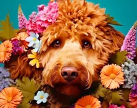 Пазл Собака и цветы