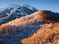 Пазл Сочи Красная поляна