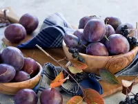 Пазл Сочные сливы