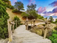 Пазл Соколиная тропа