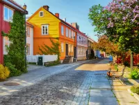 Пазл Солнечный день 