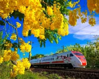 Пазл Солнечный день