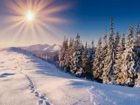 Пазл Солнечный день