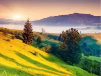 Пазл Солнечный холм