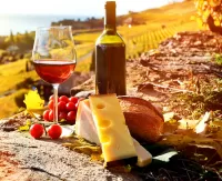 Пазл Солнечное вино