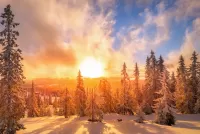 Пазл Солнце и дым облаков