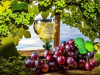 Пазл Солнце в бокале