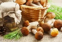Пазл Солёные грибочки