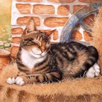 Пазл Сон