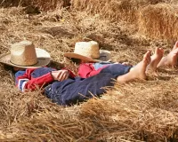 Пазл Сон на сеновале