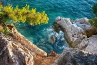 Пазл Сосна и камень