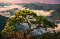 Пазл South Korea