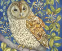Пазл Сова