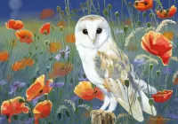 Пазл Сова