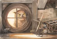 Пазл Сова в окне