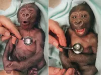 Пазл СовременноеМатБерОн