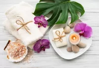 Пазл Spa