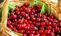 Пазл Спелая вишня
