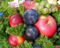 Пазл Спелые фрукты