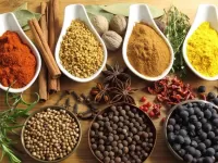 Пазл Специи 