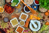 Пазл Специи