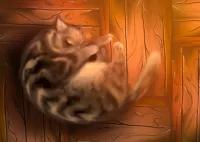 Пазл Спящий кот