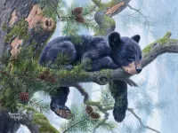 Пазл Спящий медвежонок