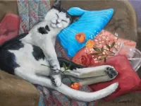 Пазл Спящий кот