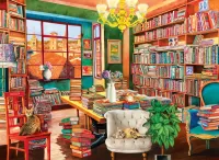 Пазл Старая библиотека