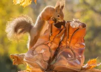 Пазл Старые ботинки