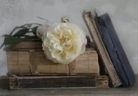 Пазл Старые книги