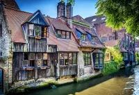 Пазл Старинные дома