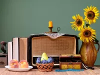 Пазл Старый приемник