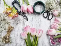 Пазл Стол флориста