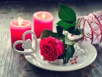 Пазл Свечи и роза
