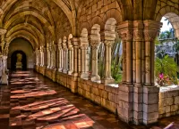 Пазл Свет и тени