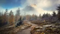 Пазл Таинственная тропа
