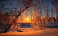 Пазл Там,где встаёт солнце