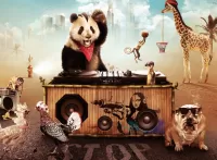 Пазл Дискотека 