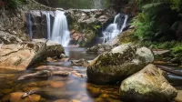 Пазл Tasmania