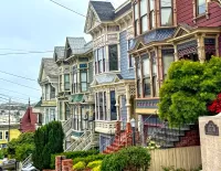 Пазл The Painted Ladies 