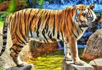Пазл Тигр