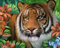 Пазл Тигр