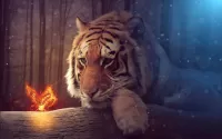 Пазл Тигр и бабочка