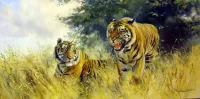 Пазл Тигры