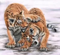 Пазл Тигрята
