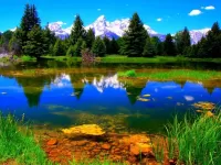 Пазл Тихая заводь