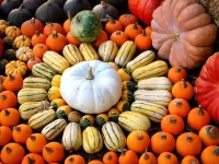 Пазл Тыковки