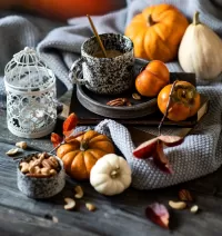 Пазл Тыковки