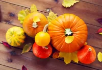 Пазл Тыквы